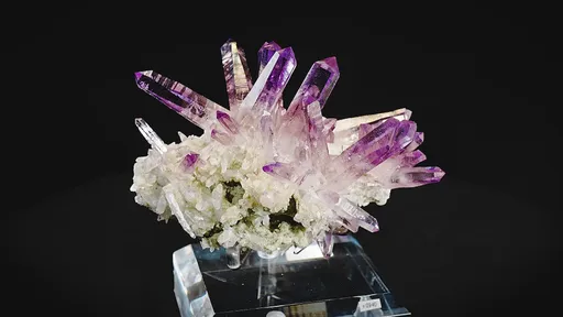 specimen video
