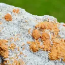 Quartz and Calcite 2620 grams - Cavnic, Maramureș County, Romania - image 2