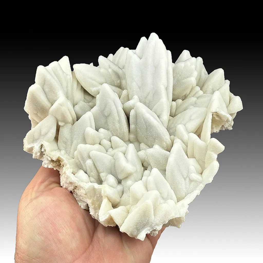 Quartz and Dolomite after Calcite image