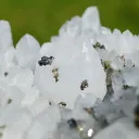 Quartz and Pyrite 2180 grams - Cavnic Mine, Cavnic, Maramureş, Romania - image 7