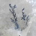 Quartz and Tourmaline Elbaite + Manganese Dendrites 4200 grams - Galileia, Minas Gerais, Brazil - image 7