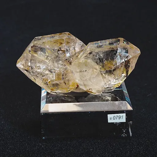 specimen video