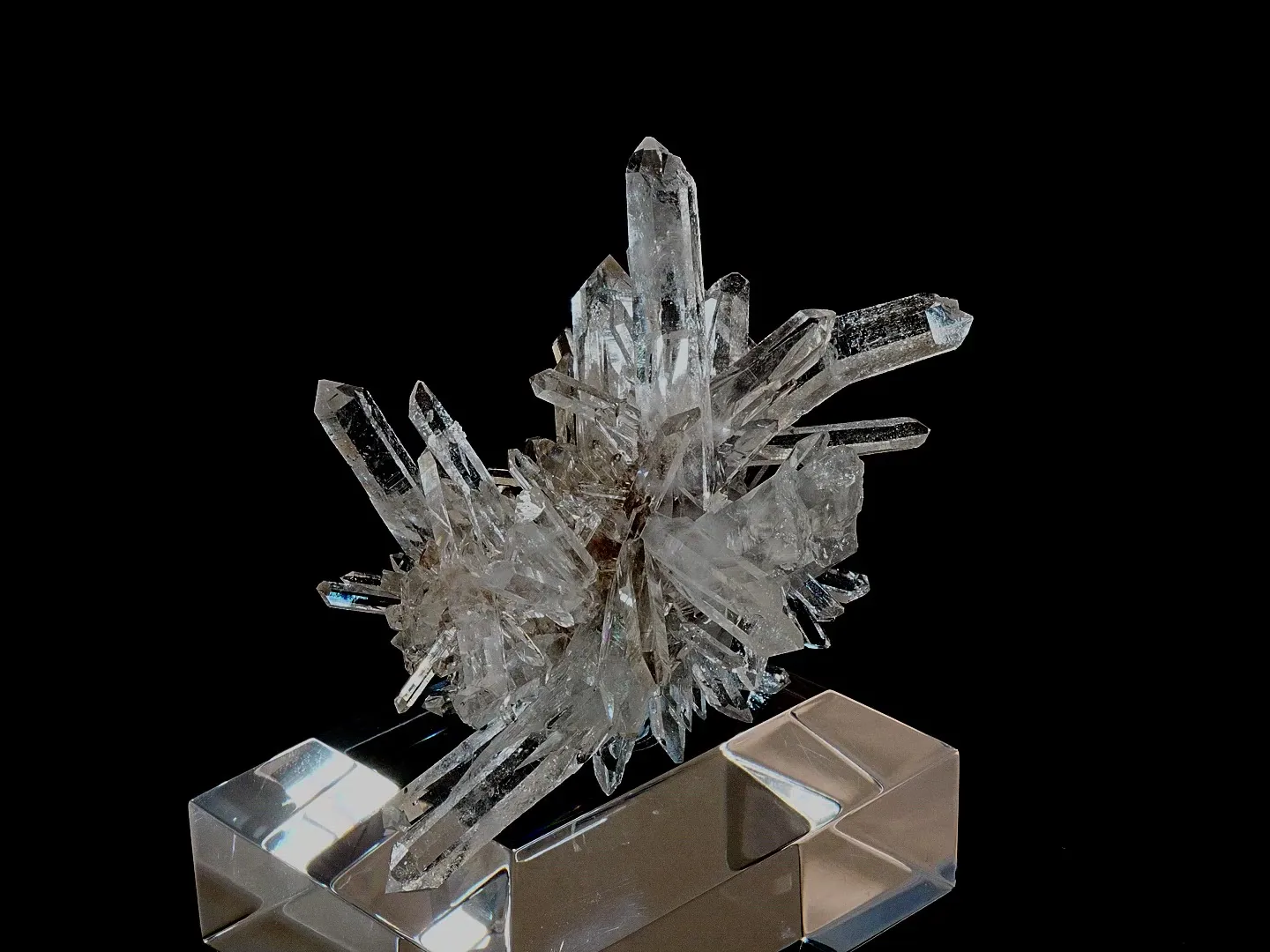 specimen video