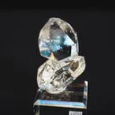 specimen video