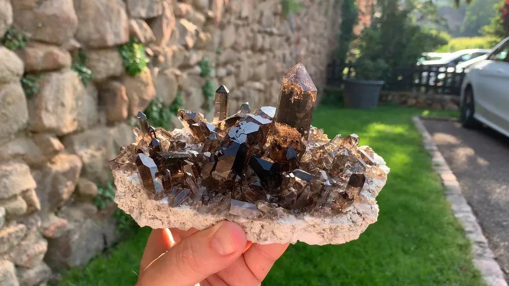 specimen video