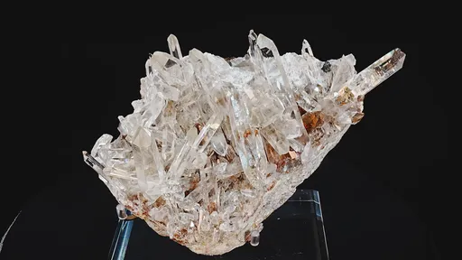 specimen video