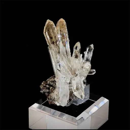 specimen video