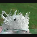 specimen video