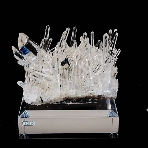 specimen video