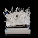 specimen video