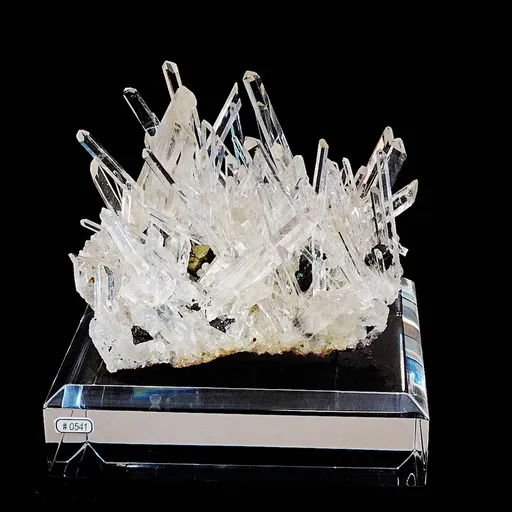 specimen video