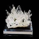 specimen video