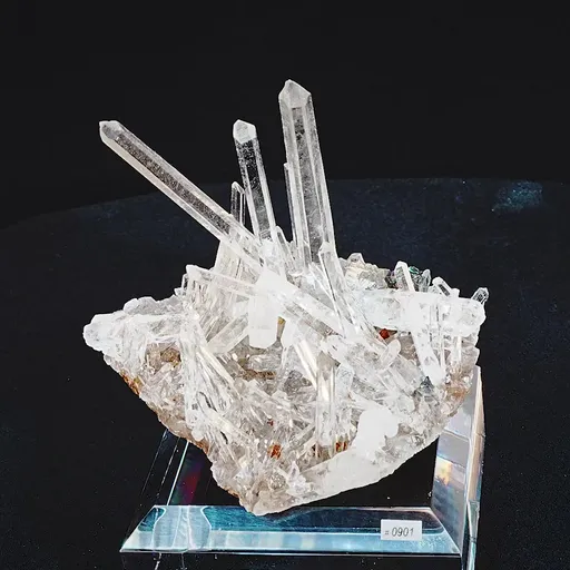 specimen video