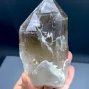 specimen video
