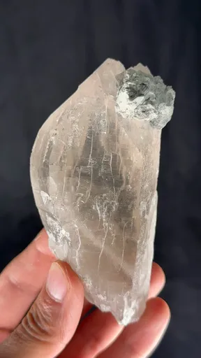 specimen video