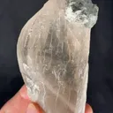 specimen video