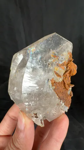 specimen video