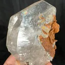 specimen video
