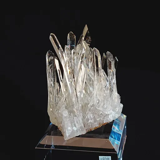 specimen video