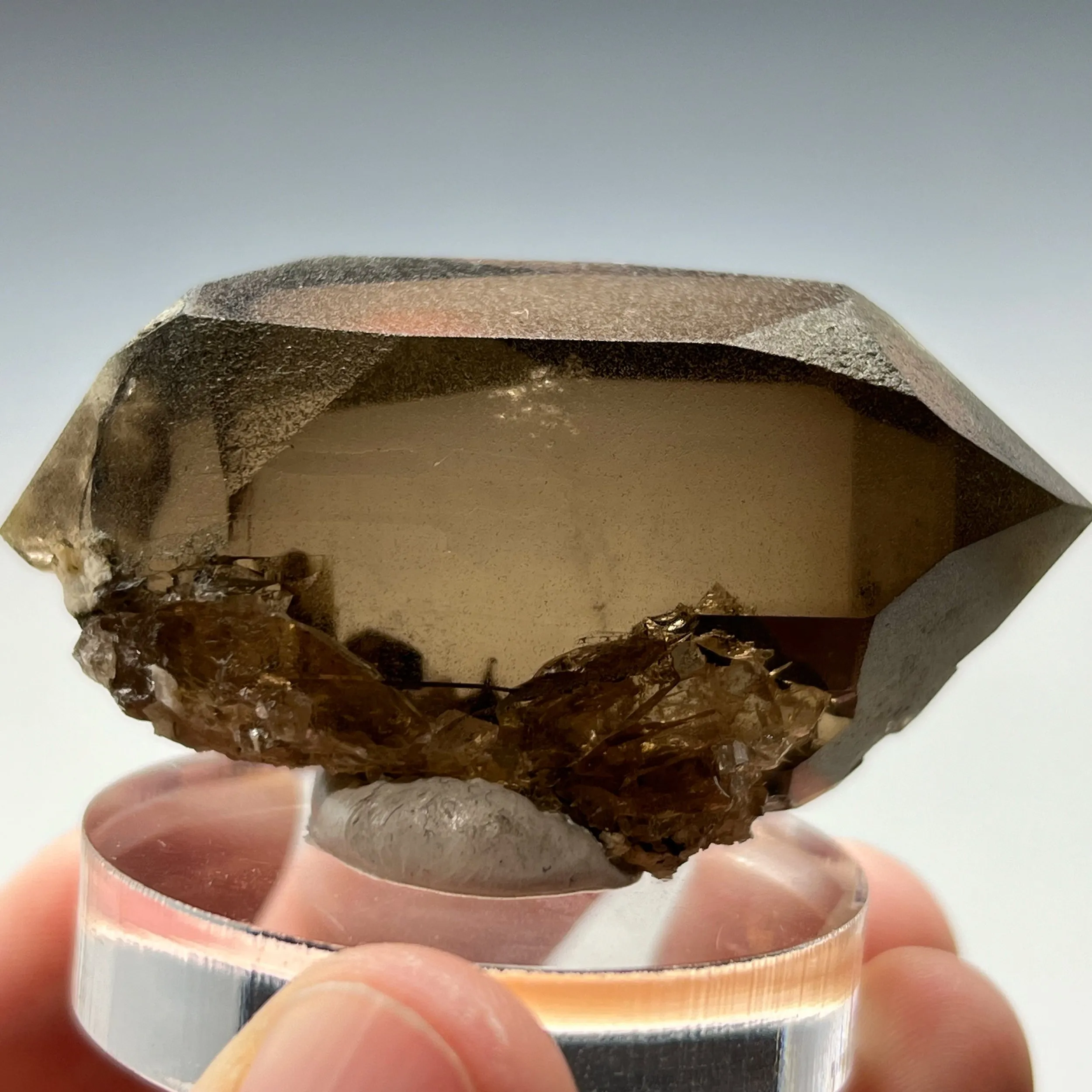 Quartz Dauphiné Law Twin - image 5