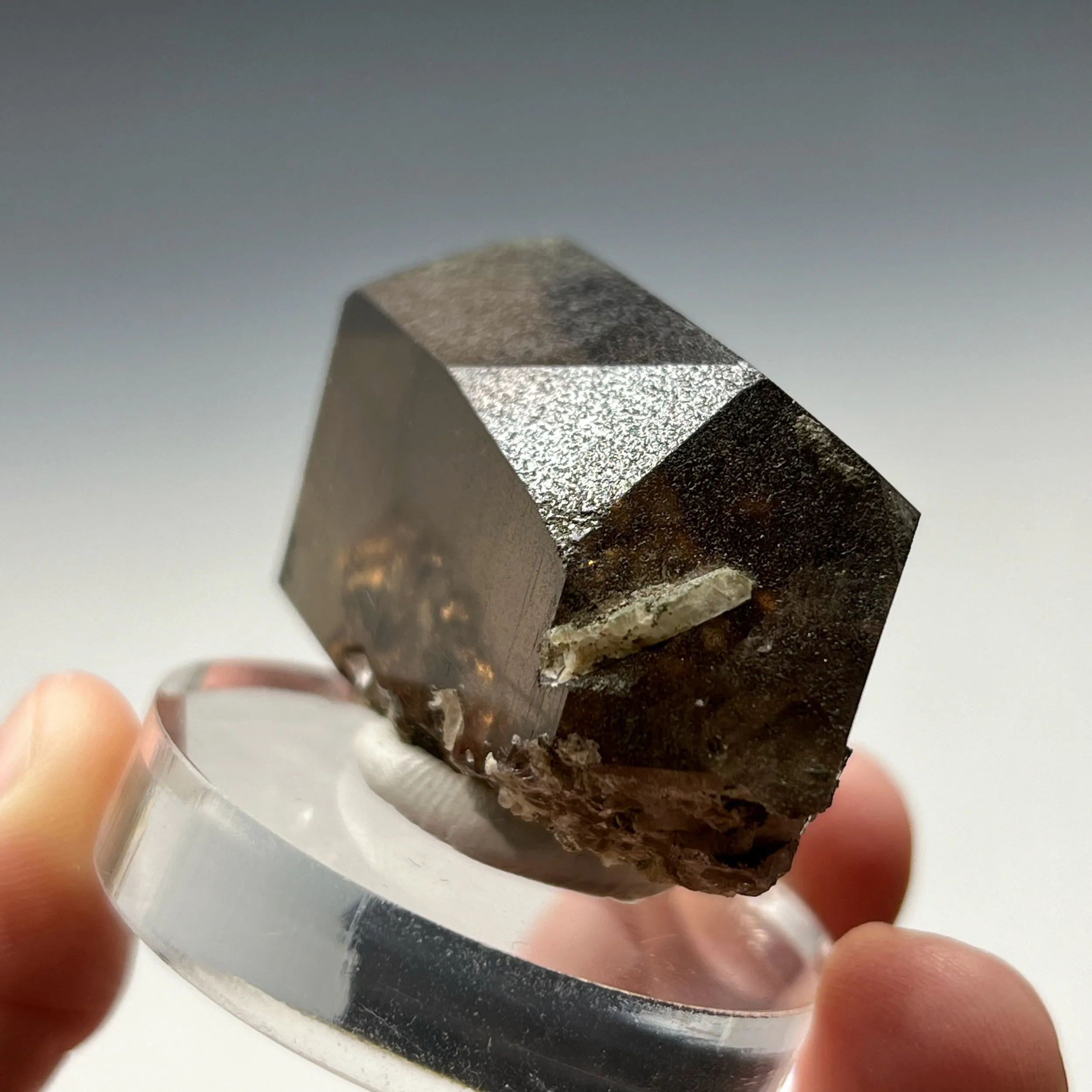 Quartz Dauphiné Law Twin - image 4