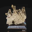 specimen video