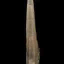 Quartz - image 1