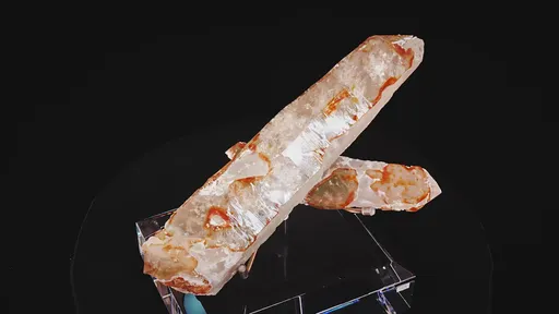 specimen video