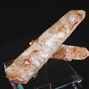 specimen video
