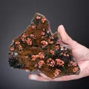 Quartz (EISENKIESEL) on Hematite - image 2