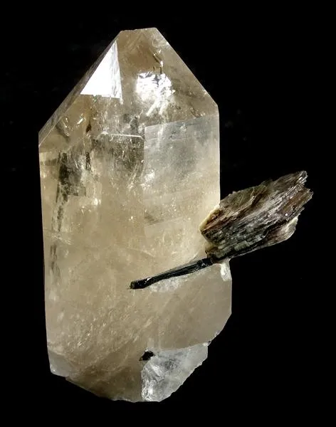 Quartz, Elbaite, Muscovite image