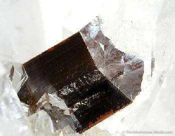 Quartz Enclosing Brookite image