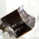 Quartz Enclosing Brookite - image 1