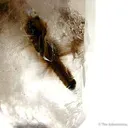 Quartz Enclosing Rutile and Brookite - image 2