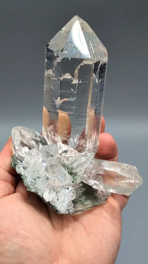 specimen video