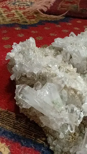 specimen video