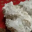 specimen video