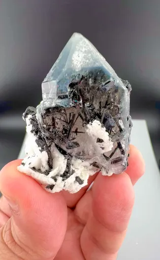 specimen video