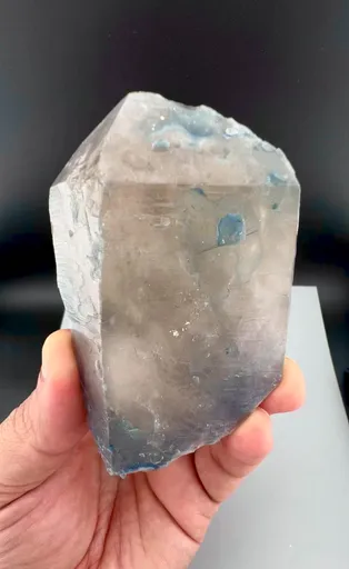 specimen video