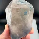 specimen video