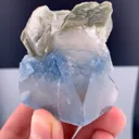 specimen video