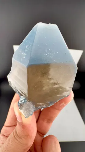 specimen video