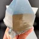 specimen video
