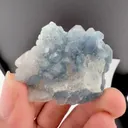 specimen video