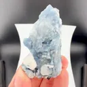 specimen video
