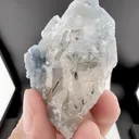 specimen video