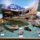Quartz from Austria, Salzburg, Rauris valley - image 3