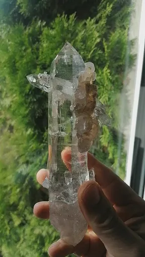 specimen video