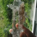 specimen video