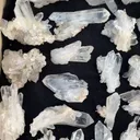 specimen video